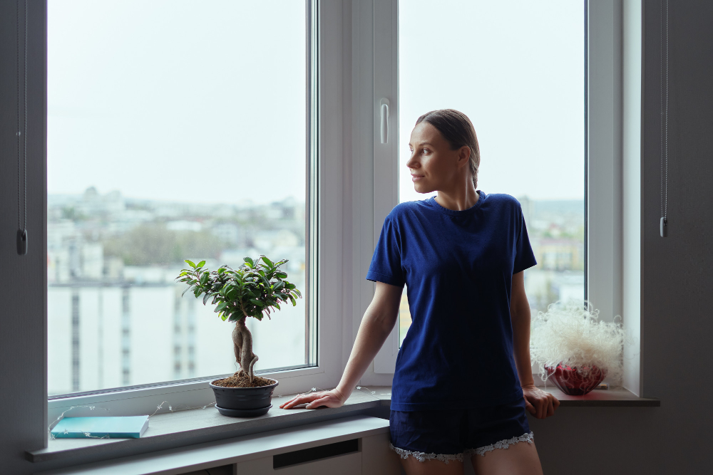 St Petersburg Window Styles